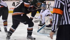 Photo Courtesy SF Bulls