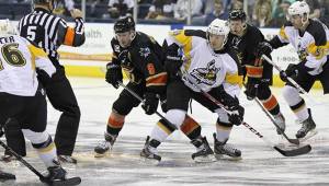 Photo Courtesy SF Bulls