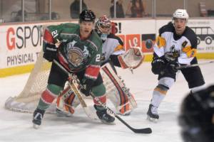 Photo Courtesy SF Bulls