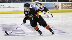 Photo Courtesy SFBulls