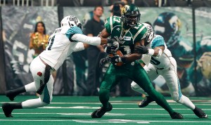 Photo Courtesy San Jose SaberCats