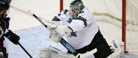 sharks-niemi