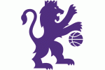 Lion logo