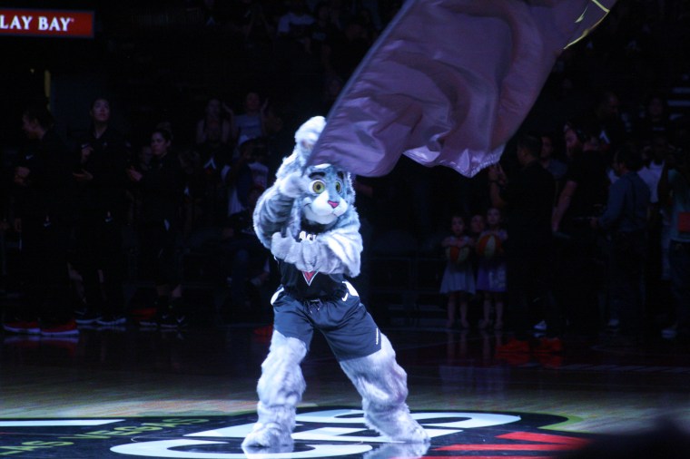 20180601 - Bucket$ 02