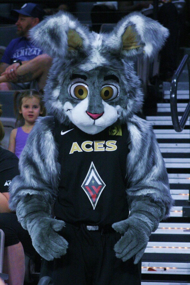 20180601 - Bucket$ 03