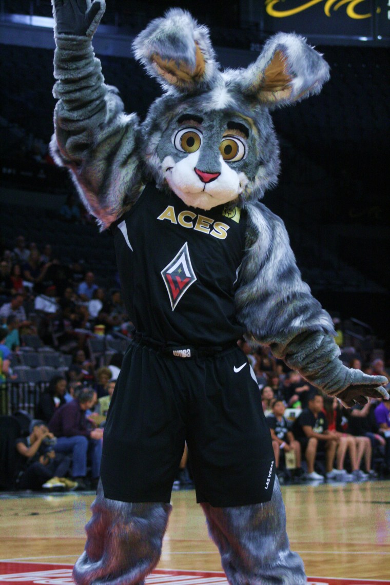 20180617 - Bucket$ 01