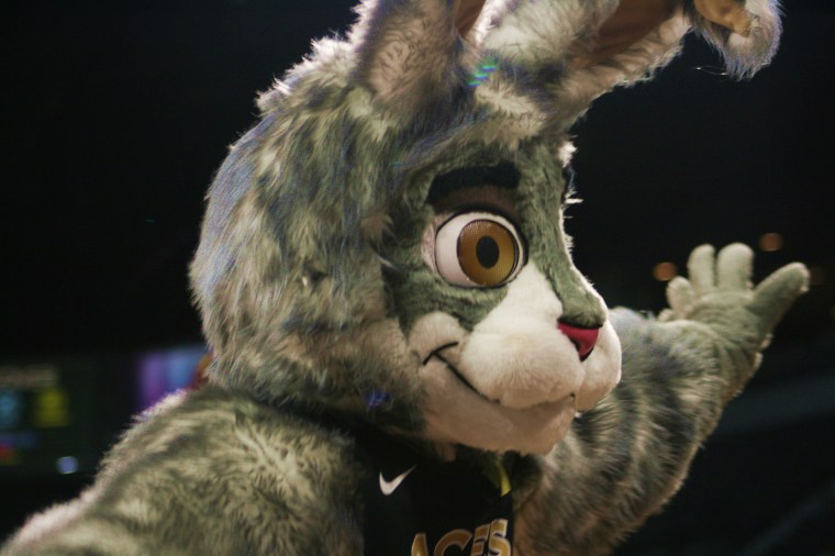 20180715 - Bucket$ 01