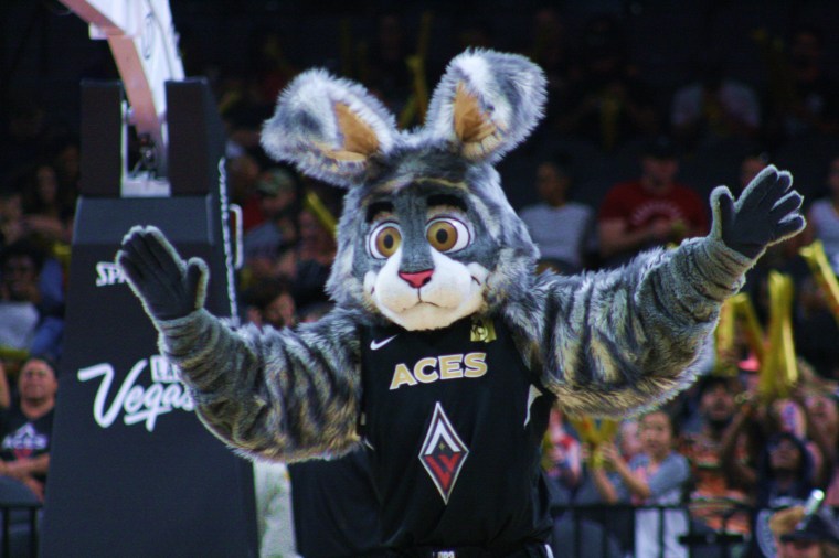 20180811 - Bucket$ 01